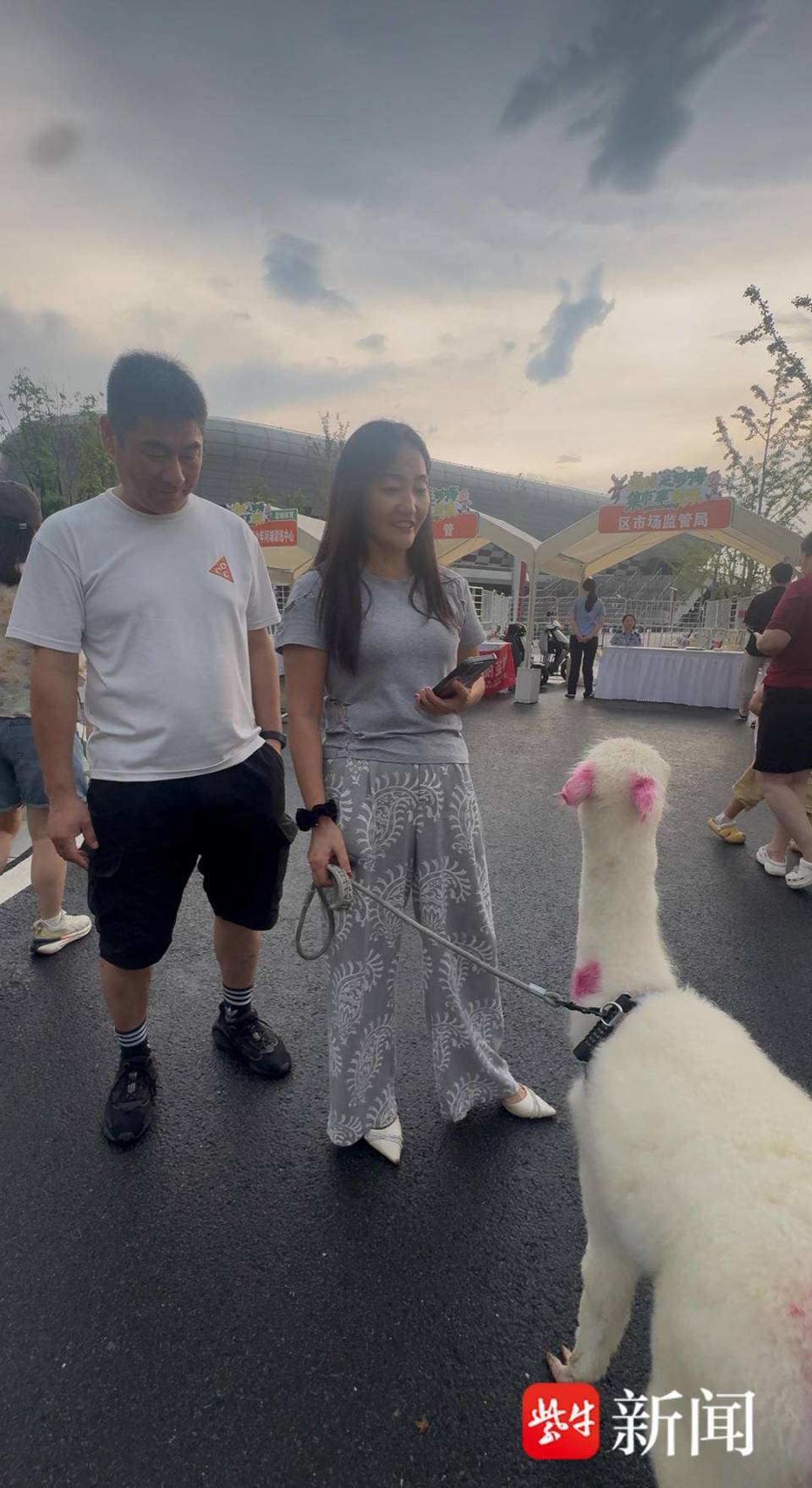 资深球迷