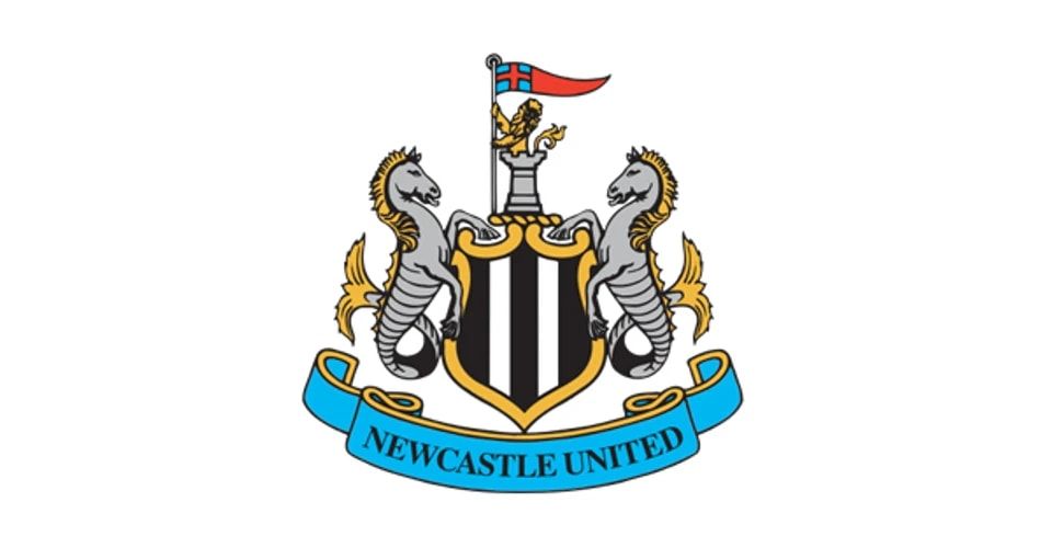 纽卡斯尔在 纽卡斯尔在