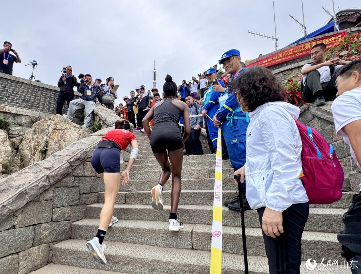 alt, 山东调研采 alt, 山东调研采