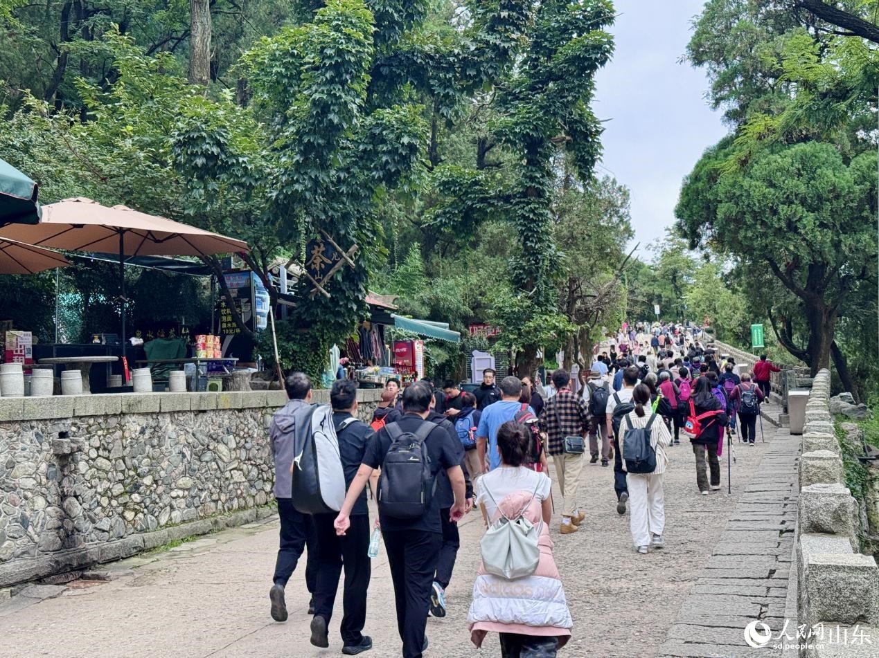 https, 司刚摄, AA https, 司刚摄, AA