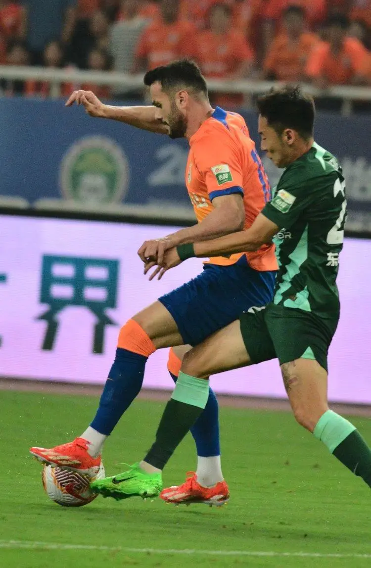 估计和海牛 估计和海牛