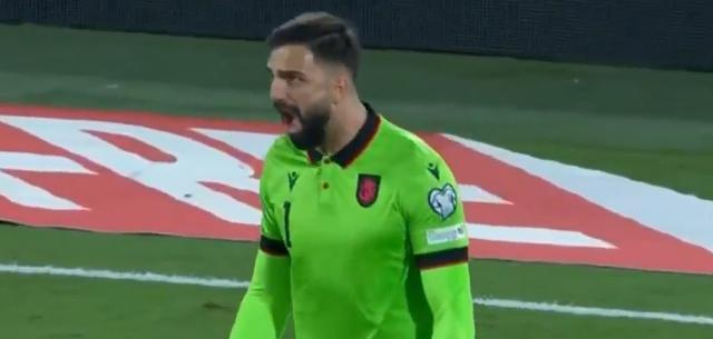 世欧预最新, entit 世欧预最新, entit