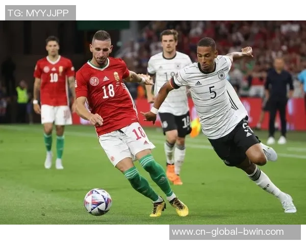 精彩回顾欧洲杯比利时对阵爱尔兰的激烈比赛录像分析与精彩瞬间